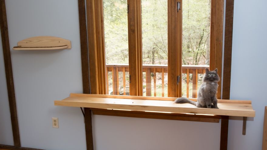 house transforms into cat paradise