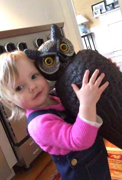 toddler bestfriend scary lawn owl 