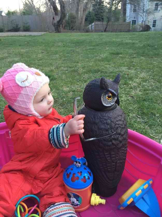 toddler bestfriend scary lawn owl 