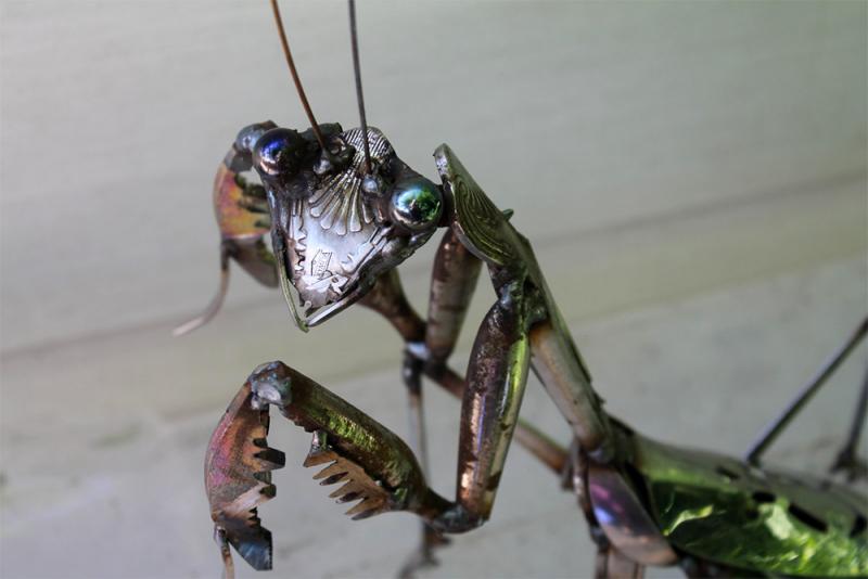 welded insects