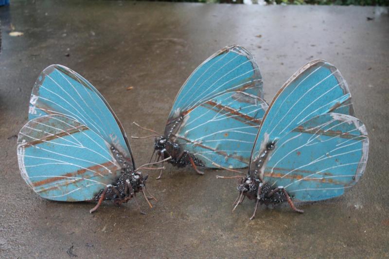 welded insects