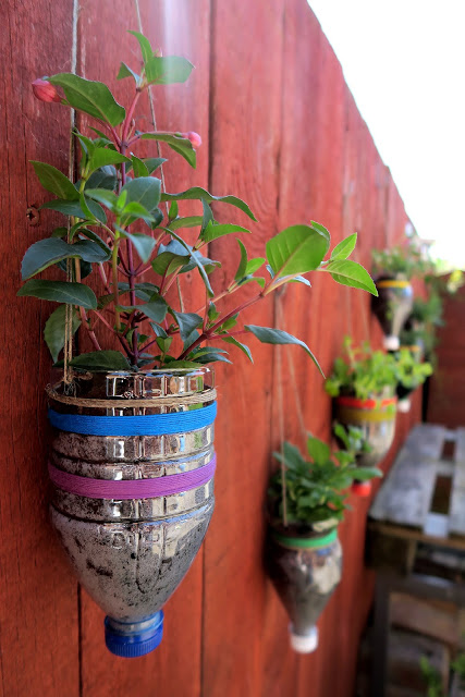 turn your fence into a garden