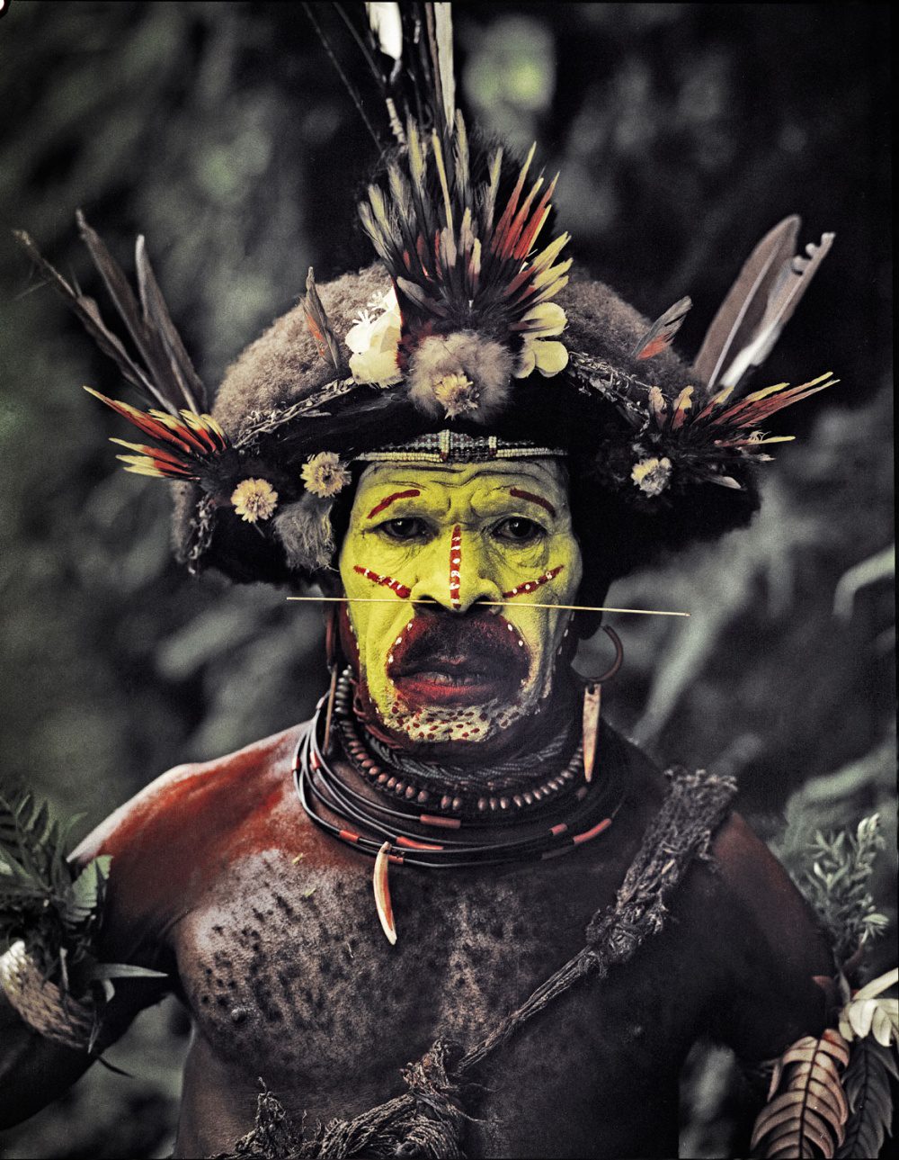 endangered tribes around the world