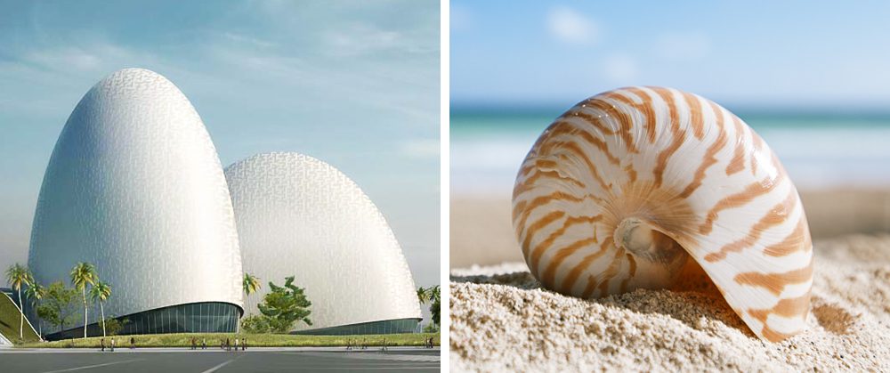 architectural masterpieces inspired by nature