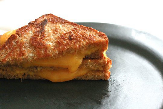 Grilled cheese sandwich1