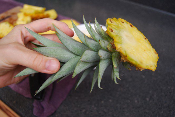 Grow a pineapple2