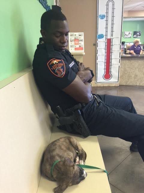officer rescued stray puppy3