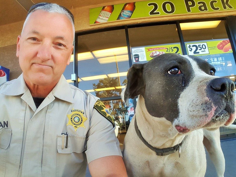 officer-and-dog-selfie2