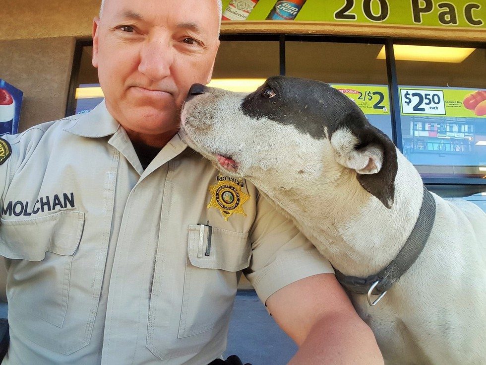 officer-and-dog-selfie3