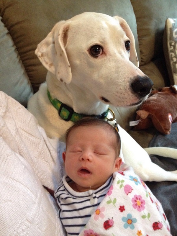 baby with dog 