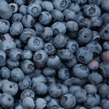 blueberries prevent dementia 