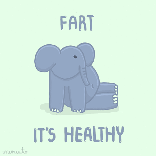 facts about farts 
