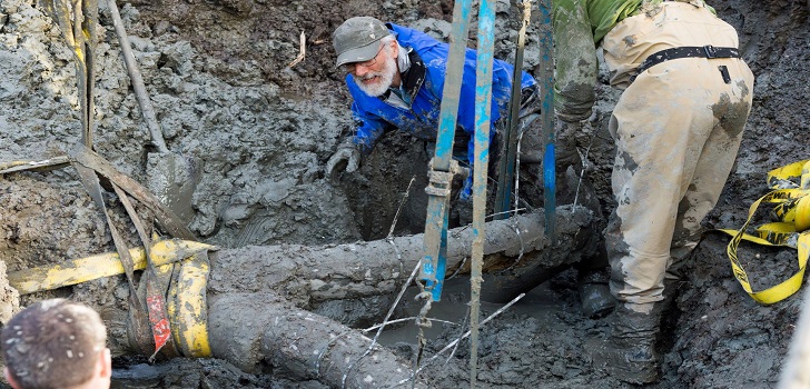 farmer found mammoth bones 