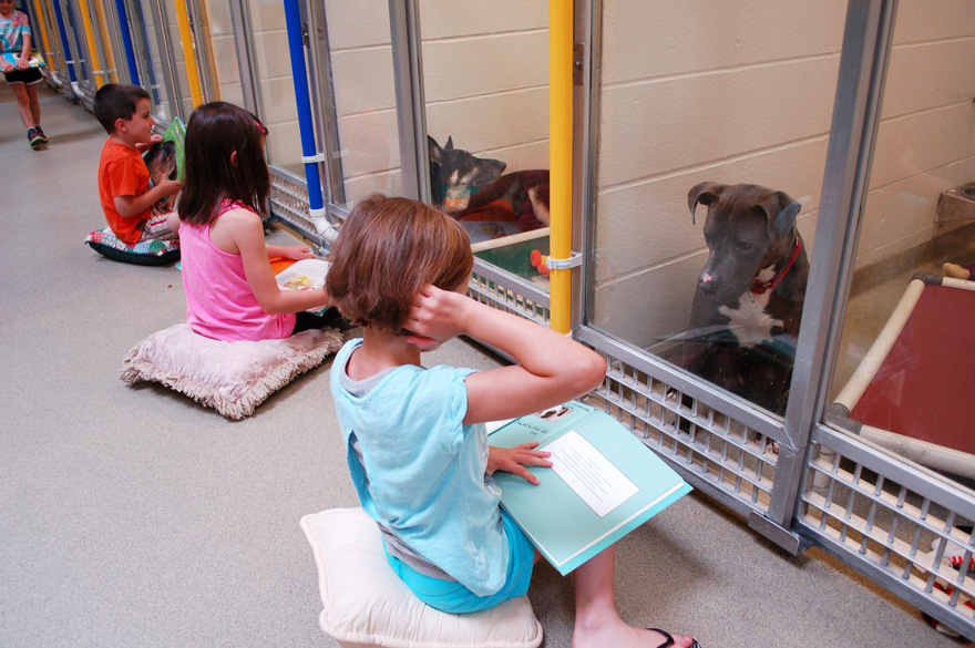 Children Read To Shelter Dogs