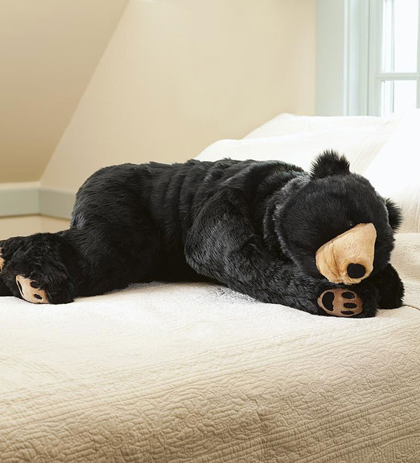 bear sleeping bag 