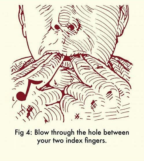 how to whistle with fingers