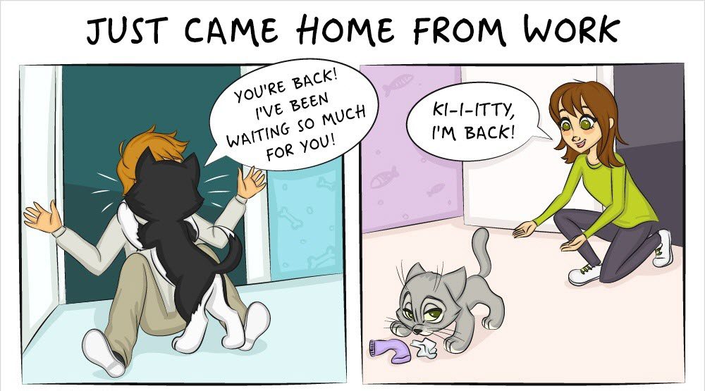 life with cats and dogs differ 5