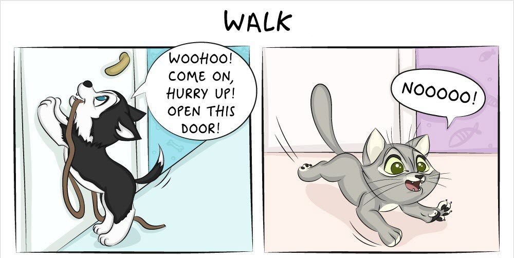 life with cats and dogs differ 7