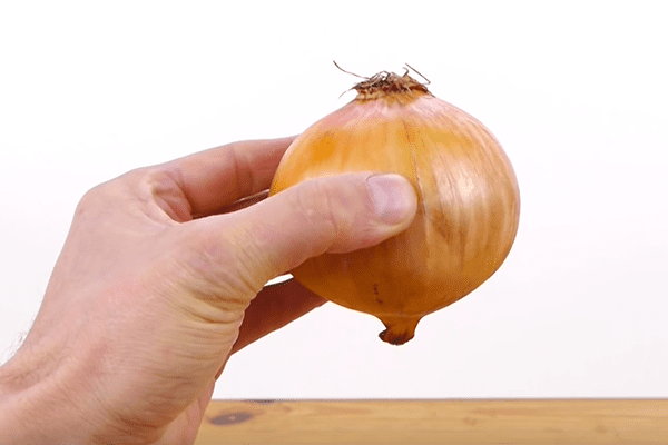 Cutting onions1