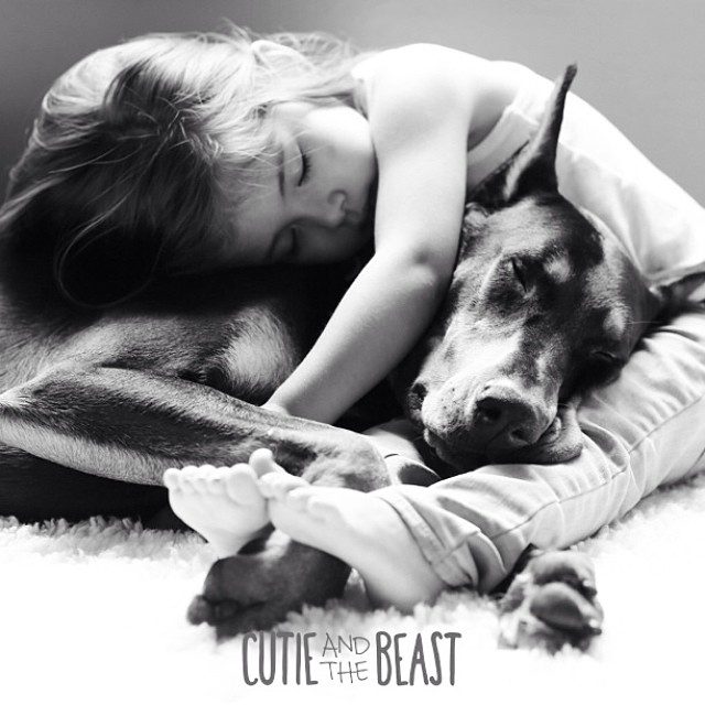 cutie and the beast 13