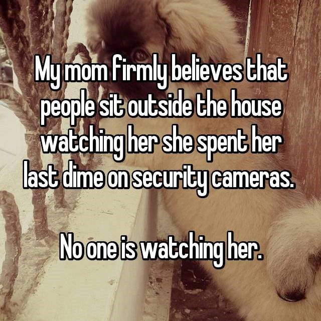 security camera discoveries