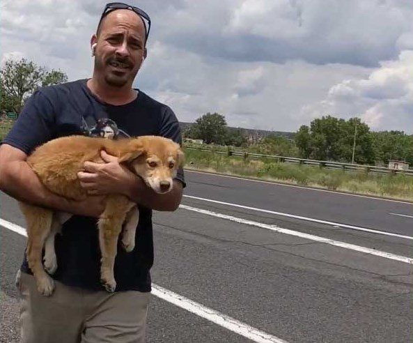 trucker saves dog