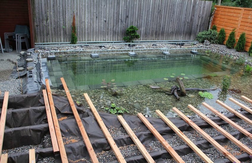 backyard swimming pond