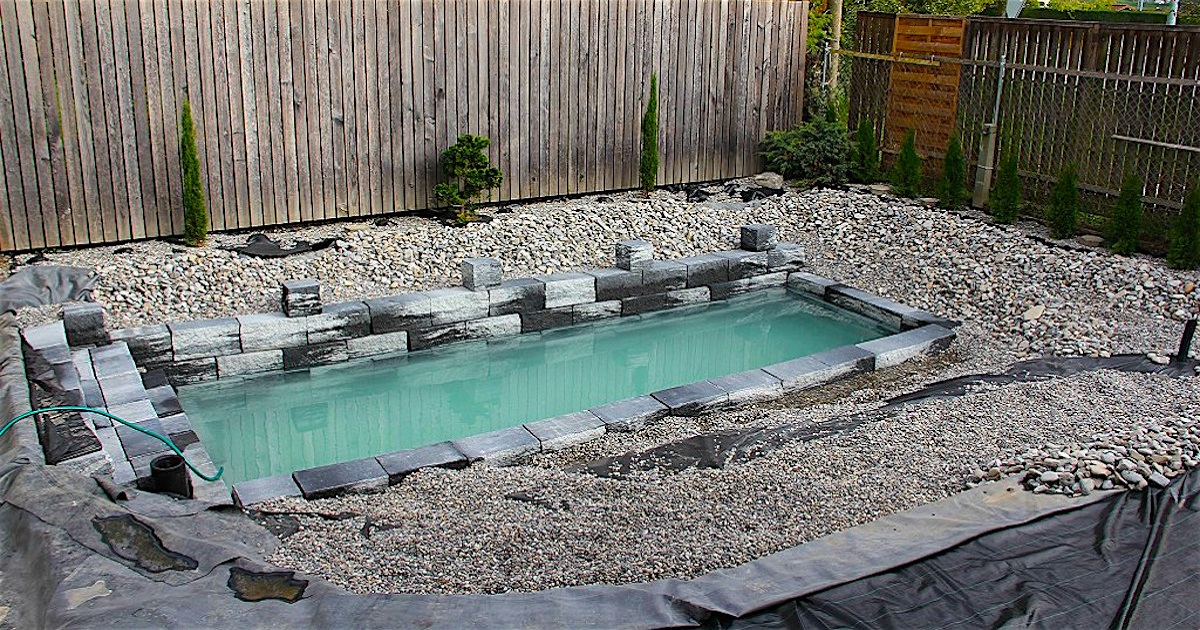 Ordinary-Looking Pool Overflows To Become A Stunning, All-Natural Pond